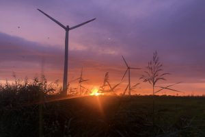 Sonnenuntergang hinter Windräder
